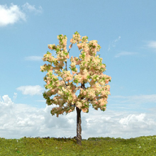 model trees